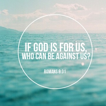 Spice Rehab ClinicsReeves LA